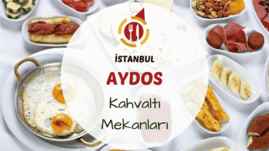 İstanbul Aydos kahvaltı mekanlarını tanıtan orman kenarında kurulmuş kahvaltı masası görseli