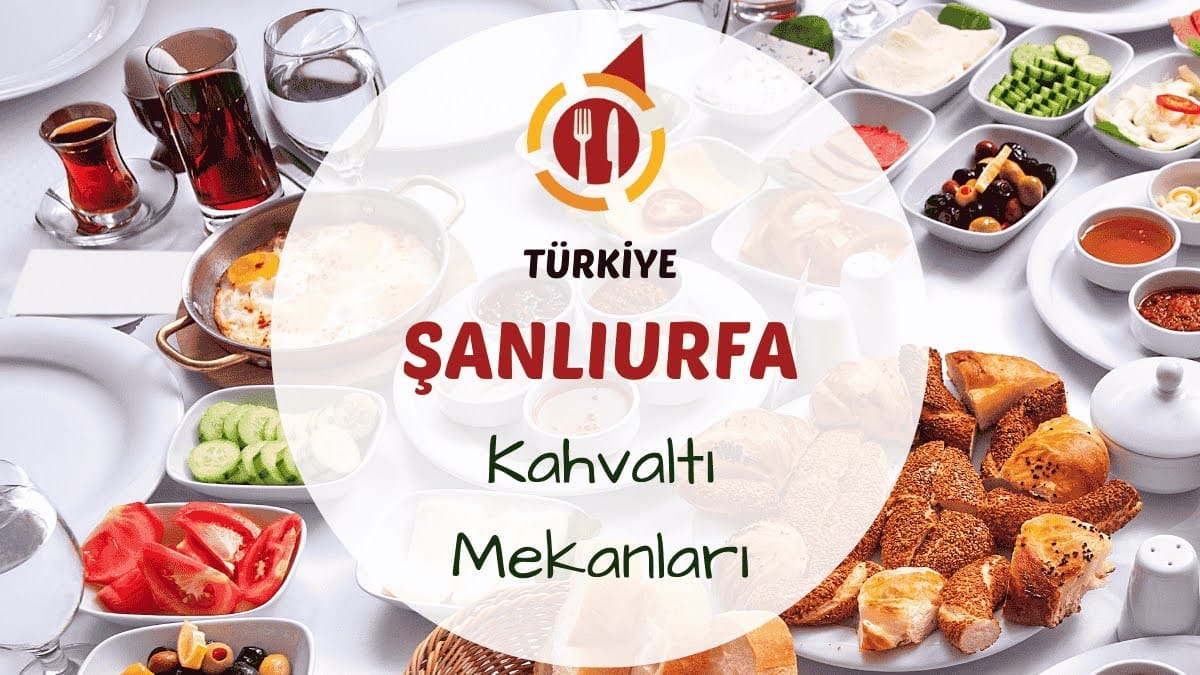 Şanlıurfa'da yöresel peynir, zahter ve sıcak pideyle donatılmış geleneksel serpme kahvaltı sofrası