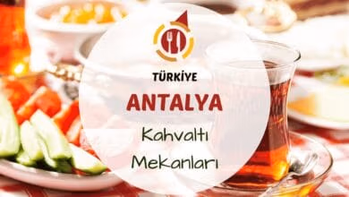 Antalya kahvaltı mekanlarını gösteren deniz manzaralı ya da portakal ağaçları arasında kurulmuş serpme kahvaltı masası görseli