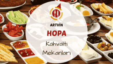 Artvin Hopa kahvaltı mekanlarını gösteren deniz manzaralı ve yöresel ürünlerle donatılmış kahvaltı masası görseli