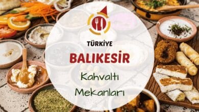 Balıkesir kahvaltı mekanlarını gösteren doğayla iç içe veya yöresel tatlarla donatılmış serpme kahvaltı masası görseli
