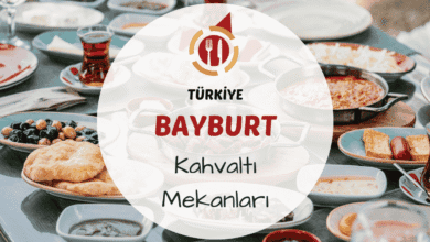 Bayburt kahvaltı mekanlarını gösteren yöresel ürünlerle hazırlanmış, doğal ortamda kurulmuş serpme kahvaltı masası görseli