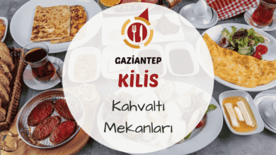 Gaziantep Kilis kahvaltı mekanlarını gösteren zahter, katmer, baharatlı zeytin ve yöresel kahvaltılıklar içeren sofradan bir kare