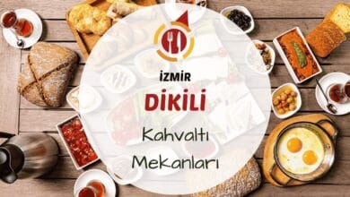 İzmir Dikili kahvaltı mekanlarını gösteren deniz manzaralı veya zeytin ağaçları altında kurulmuş serpme kahvaltı masası görseli