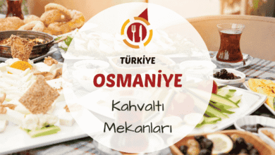 Osmaniye kahvaltı mekanlarını gösteren zeytin, çökelek salatası, ev yapımı reçeller ve sıcak bazlama içeren yöresel kahvaltı sofrası görseli