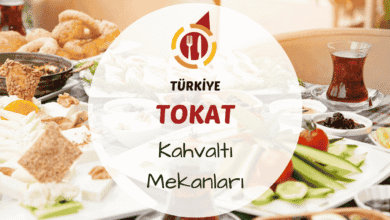Tokat kahvaltı mekanlarını gösteren geleneksel kahvaltı sofrası; çökelek, cevizli çörek, pekmez, haşhaş ezmesi ve tandır ekmeği gibi yöresel ürünlerle hazırlanmış görsel