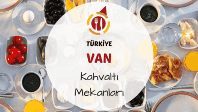 Van kahvaltı mekanlarını gösteren otlu peynir, murtuğa, cacık, bal–kaymak ve tandır ekmeğiyle donatılmış geleneksel Van kahvaltısı sofrası görseli
