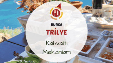 Trilye kahvaltı mekanları ararken sahilinde deniz manzaralı bir kahvaltı masası, zeytin, peynir, reçel ve semaver çayı ile donatılmış serpme kahvaltı sofrası