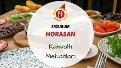 Horasan kahvaltı yerleri ve erzurum aras nehri.